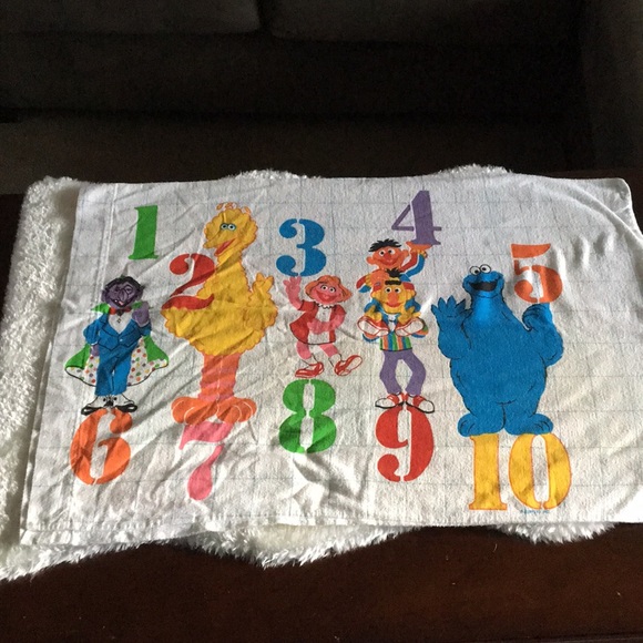 muppets inc Other - Vintage Sesame Street Pillow Case